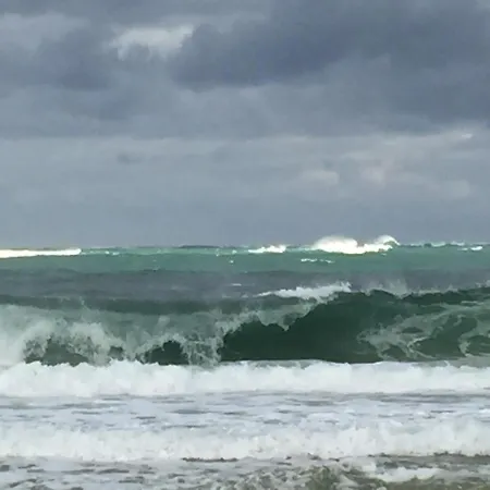 Privat bolig Les Hippocampes