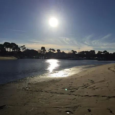 Les Hippocampes La Teste-de-Buch