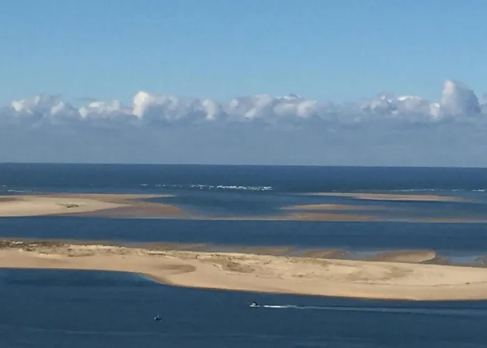 Проживание в семье Les Hippocampes