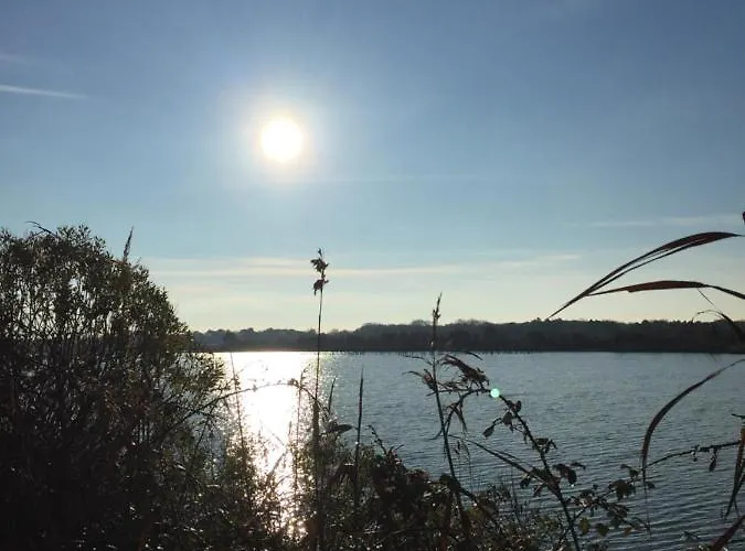 Проживание в семье Les Hippocampes