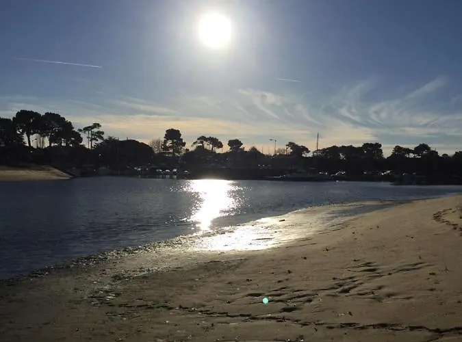 Les Hippocampes Ла-Тест-де-Бюш