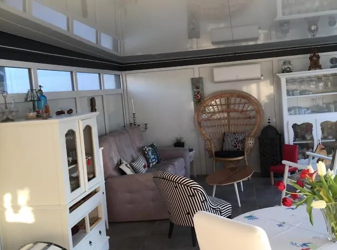 Les Hippocampes Проживание в семье